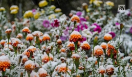 Снег, дождь и гололёд: погода в Павлодарской области 23 октября