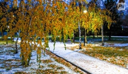 Дождь и снег выпадут в Павлодарской области 24 октября