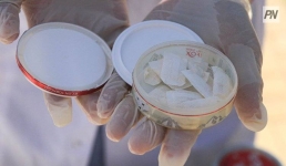 Павлодарец маскировал наркотики под еду