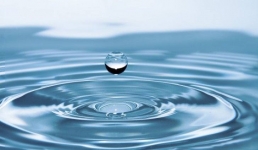 Павлодарского монополиста наказали штрафом