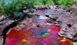 Непрофессиональные художники обещают удивить павлодарцев