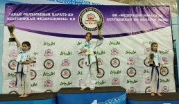 Каратисты Павлодарской области завоевали Кубок Абая
