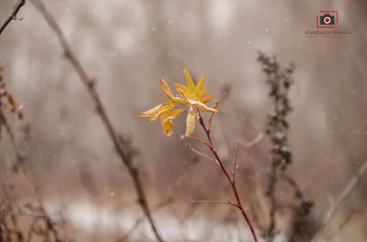 Небольшие осадки ожидаются 5 ноября в Павлодарской области
