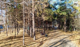 Вторая неделя ноября в Павлодарской области будет тёплой