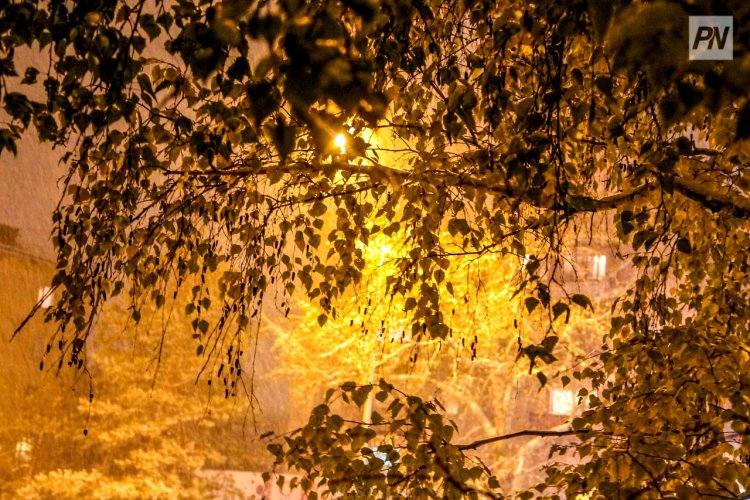 Без осадков будет в Павлодарской области 7 ноября