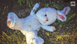 Насилие над школьником: в Павлодаре назначили проверку