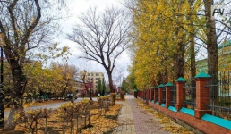 Небольшой дождь пройдет в Павлодарской области 9 ноября