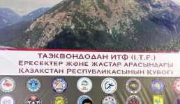 Павлодарец стал сильнейшим таэквондистом Казахстана