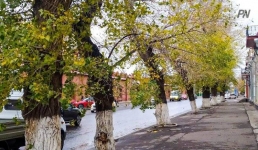 Дождь со снегом: погода в Павлодарской области 13 ноября