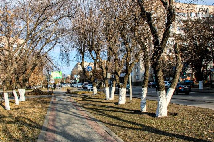 В Павлодарской области сохранится плюсовая температура