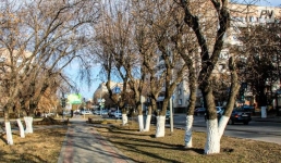 В Павлодарской области сохранится плюсовая температура