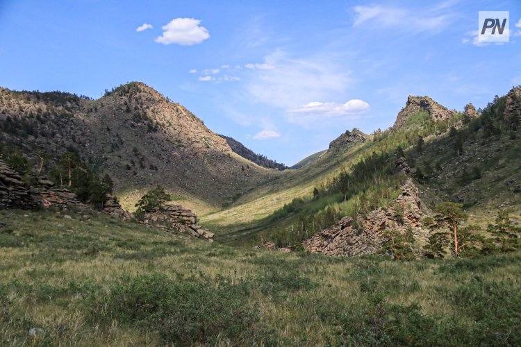 Павлодарским архарам и сайгакам ничего не угрожает