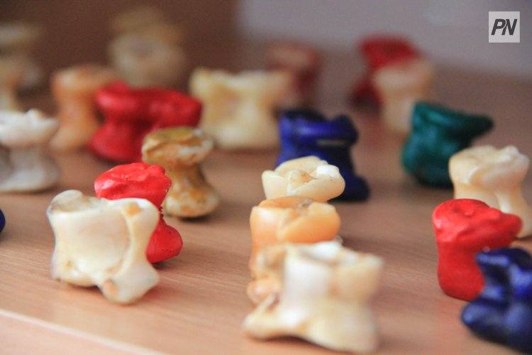 Павлодарец привез «серебро» международного турнира