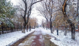Небольшой снег ожидают в Павлодарской области 20 ноября
