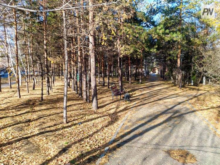 Новая волна тепла ожидает Павлодарскую область