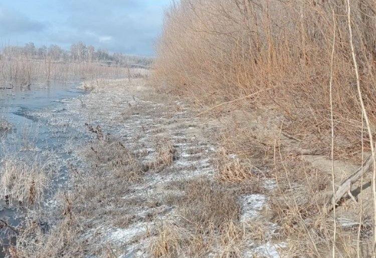 В Павлодарской области вторую неделю ищут пропавшего рыбака