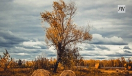 Ветер усилится в Павлодарской области 22 ноября