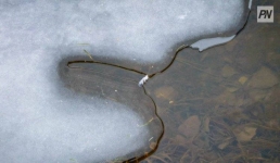 Павлодарских рыбаков призвали остерегаться льда