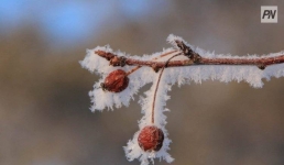 Дождь со снегом ожидают в Павлодарской области 23 ноября