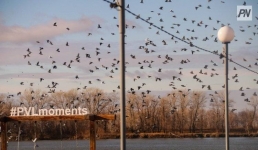 Ветер усилится в Павлодарской области 25 ноября