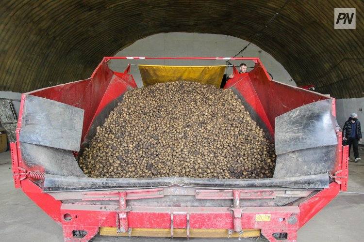 Глава региона рассказал, как спасли урожай в Павлодарской области