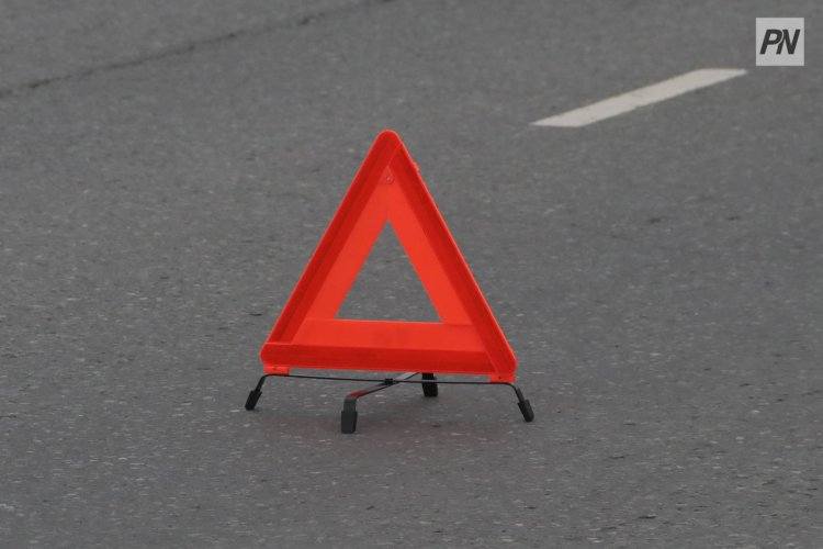 В Павлодарской области «Газель» сбила выбежавших на трассу лошадей