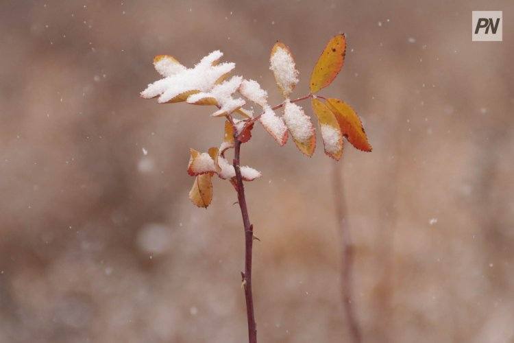 Метель и гололед: погода в Павлодарской области 5 декабря