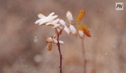 Метель и гололед: погода в Павлодарской области 5 декабря