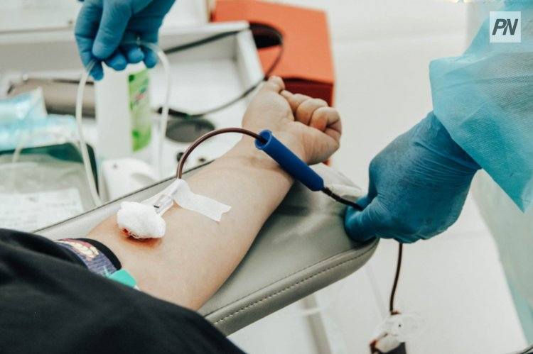 Павлодарцам предложили лечебное кровопускание