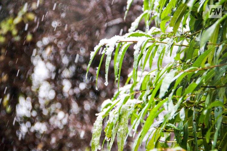 Снег с дождём ожидают в Павлодарской области 6 декабря