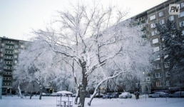 В Павлодарской области морозы отступят 16 декабря