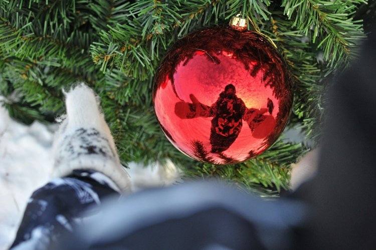 Ледовый лабиринт и беркуты: как украсят Павлодар к Новому году