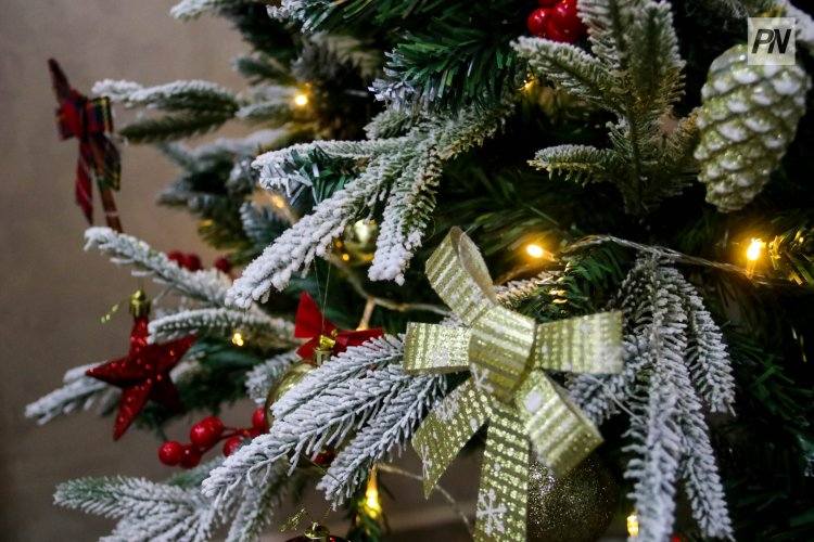 Особенным павлодарцам подсластили Новый год