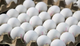 Павлодарские супермаркеты пообещали не спекулировать на Новом годе