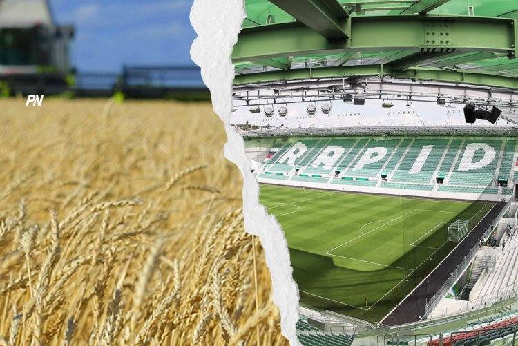 Продукцию с павлодарских полей оценили в приличный европейский стадион