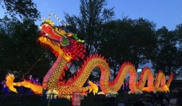 Что предлагают носить павлодарцам в год Дракона