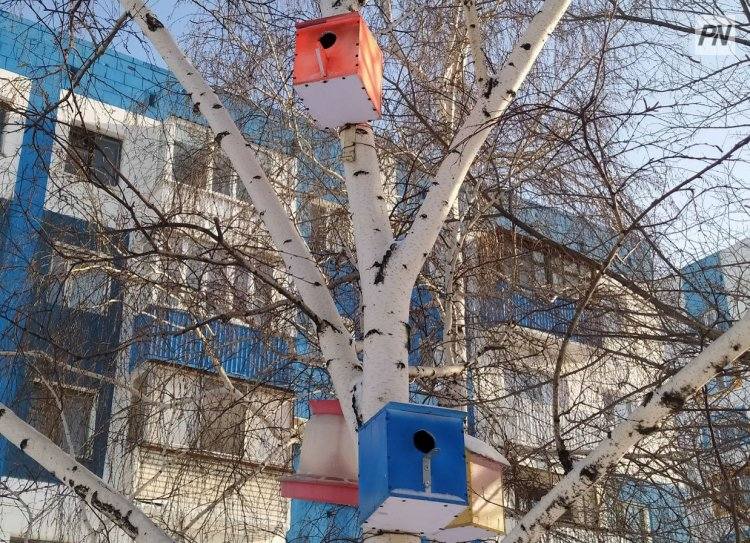 Сильный ветер и гололед ожидаются 2 января в Павлодарской области