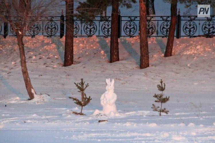 Очередная волна потепления ожидает павлодарцев