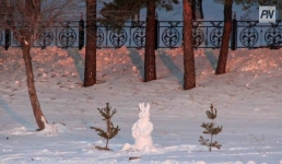 Очередная волна потепления ожидает павлодарцев