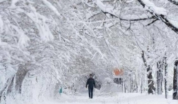 Метель ожидают в Павлодарской области 10 января