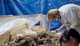 Павлодарские археологи реконструировали уникальный артефакт