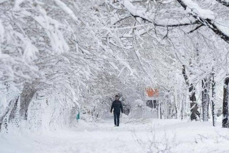 Школьники Павлодара сегодня останутся дома