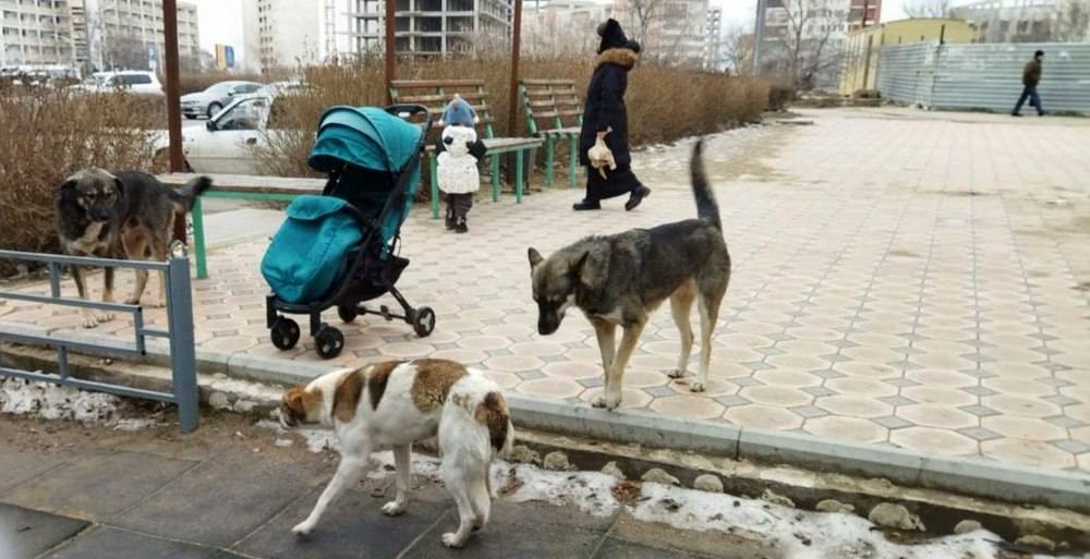 Свежие вакансий актау на сегодня