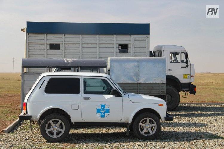 Стройка павлодарских ветпунктов пойдет беспрецедентными темпами