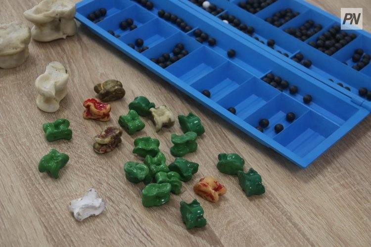 Павлодарские спортсмены стали призерами республиканского турнира