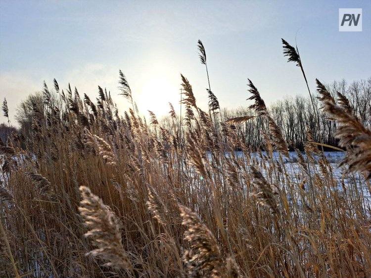 Снег и облачность: погода в Павлодарской области 1 февраля