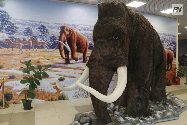 Какой была Павлодарская область в древности