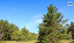 Павлодарский лесной резерват издал книгу своей истории