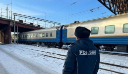 Павлодарцев наказали за скот на железной дороге