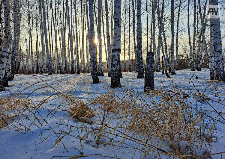 13 февраля в Павлодарской области будет облачно